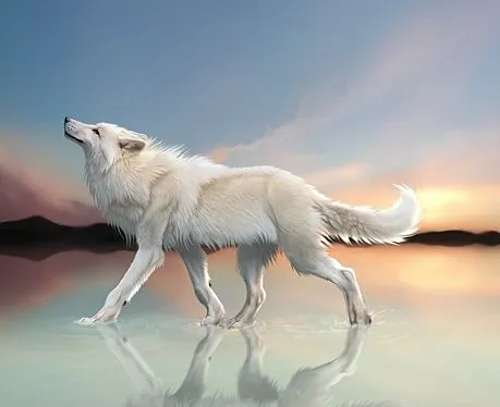 Las mejores ilustraciones de lobos | Ubuntu Life Las mejores ilustraciones de lobos | Ubuntu Life