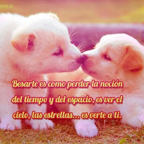 las mejores imagenes (@amordeimagenes) | Twitter las mejores imagenes (@amordeimagenes) | Twitter