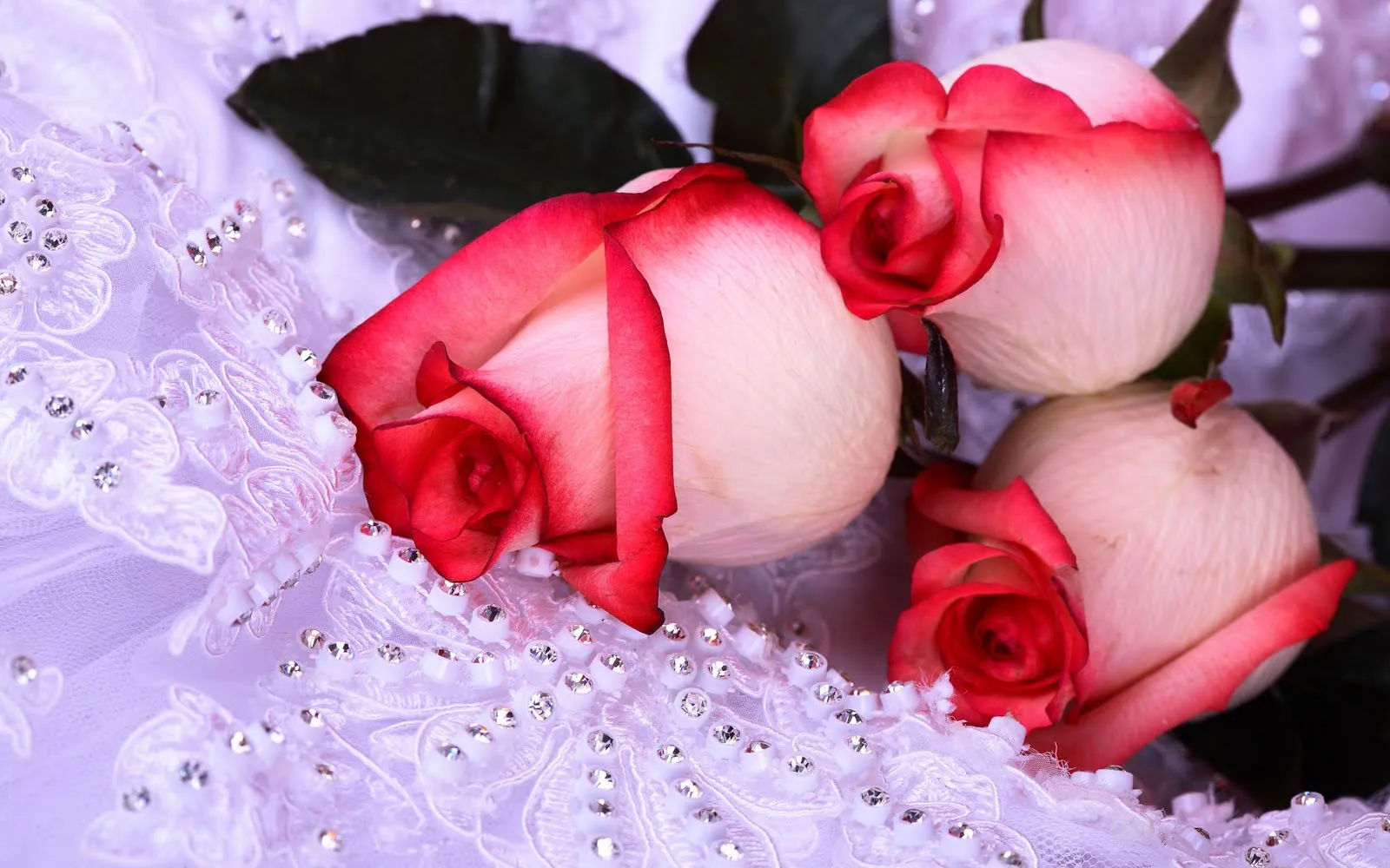 Las mejores imágenes de flores en el mundo (33 fotos) | Banco de ... Las mejores imágenes de flores en el mundo (33 fotos) | Banco de ...