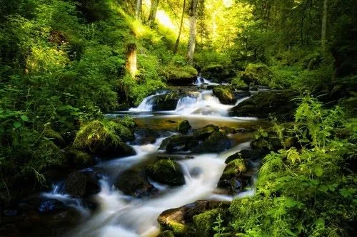 Las mejores imágenes de paisajes naturales XII (7 fotos) | Banco ... Las mejores imágenes de paisajes naturales XII (7 fotos) | Banco ...