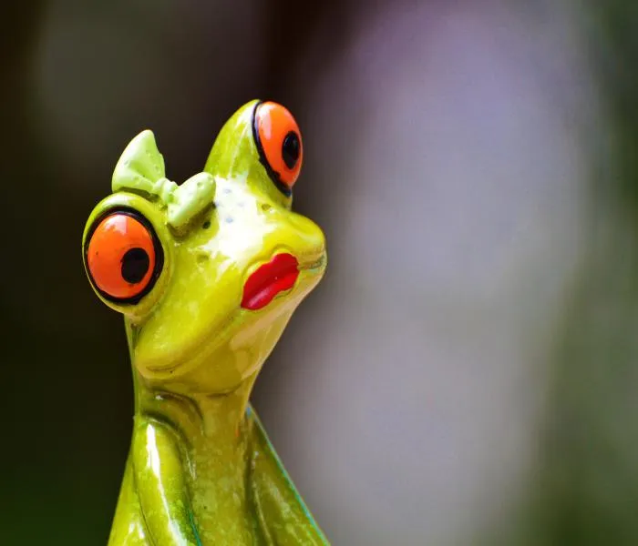 ▷ Los mejores y más originales NOMBRES PARA RANAS ▷ Los mejores y más originales NOMBRES PARA RANAS