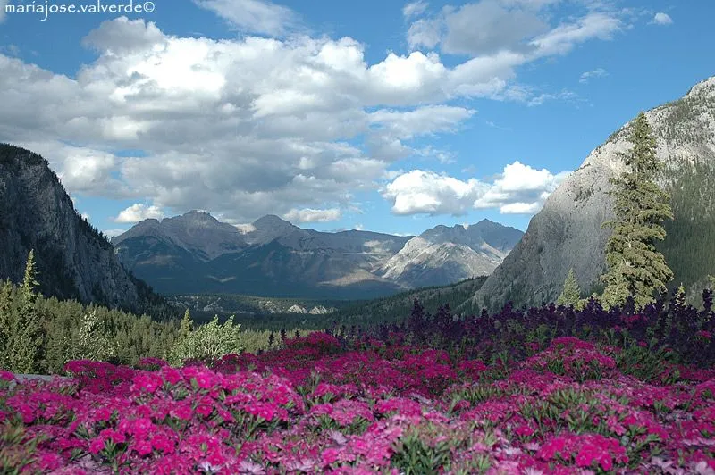 Los mejores paisajes del mundo: nandito eee Los mejores paisajes del mundo: nandito eee