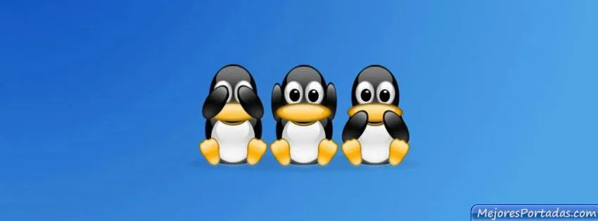 Las Mejores Portadas para tu perfil de Facebook: Linux Tux fondo Las Mejores Portadas para tu perfil de Facebook: Linux Tux fondo