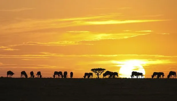 Las mejores puestas de sol del mundo. |