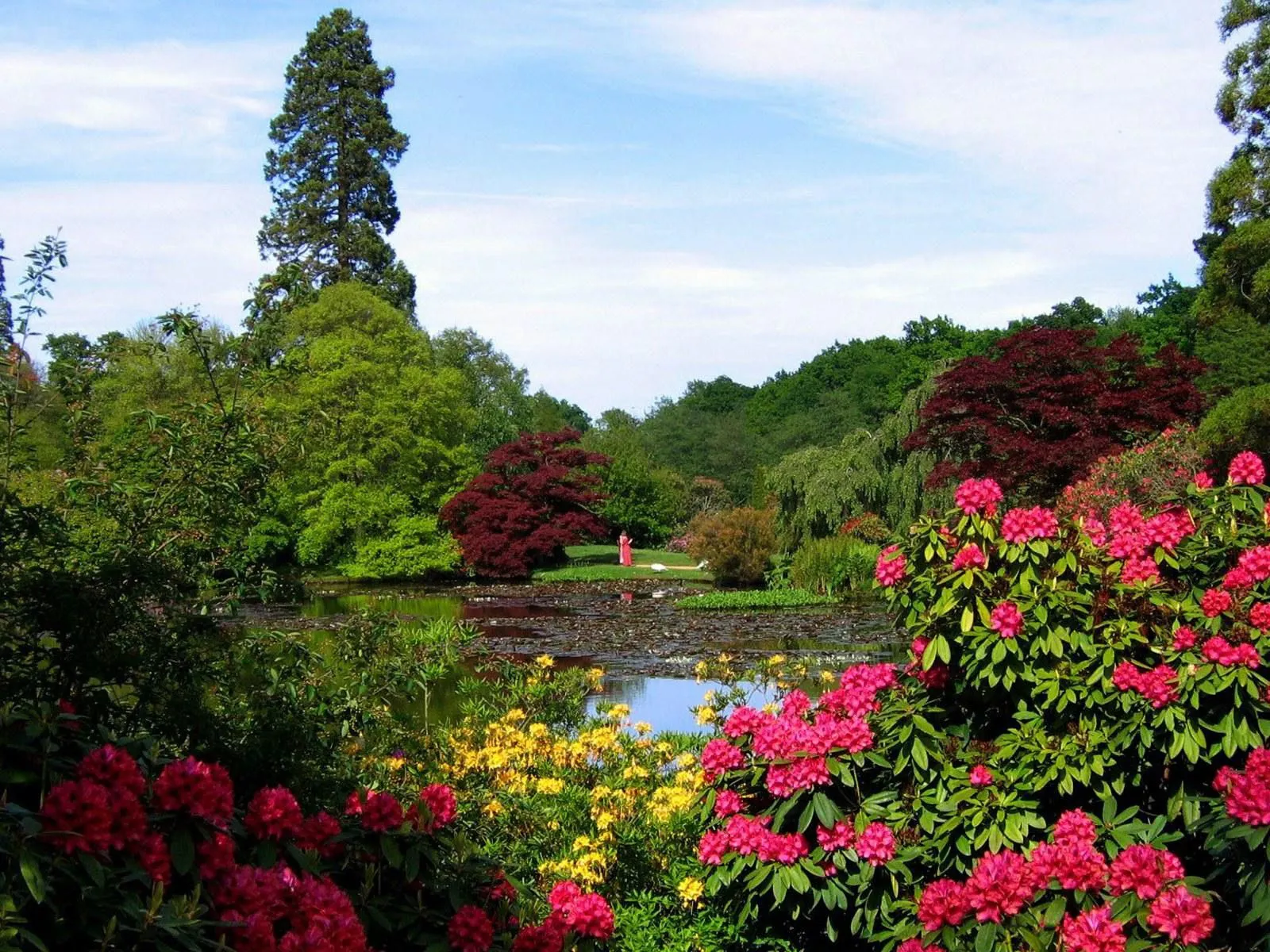 Solo los mejores wallpapers del mundo....LOS MEJORES.: Jardines