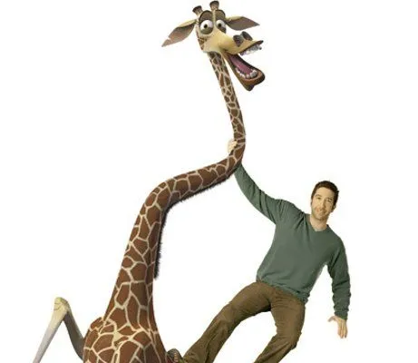 Madagascar melman - Imagui