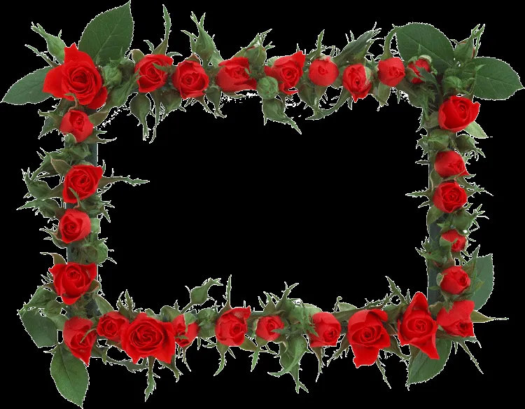 meluxx23: marcos para fotos de flores