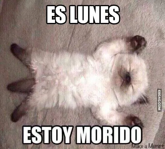 meme-lunes-3.jpg