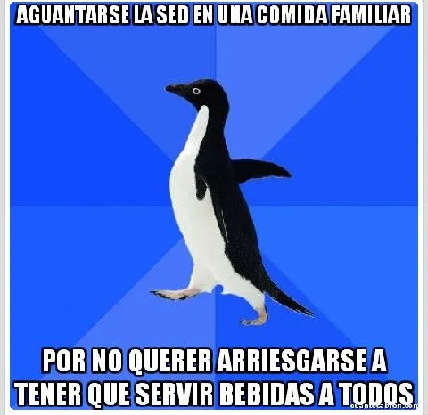 Memedroid - Imágenes etiquetadas con 'pimguino' - Página 1 Memedroid - Imágenes etiquetadas con 'pimguino' - Página 1