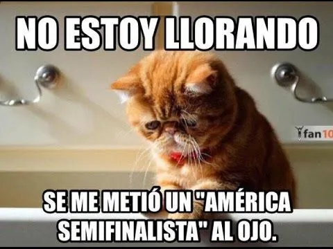 Los Memes del América vs Pumas Cuartos de Final Liguilla Apertura ...