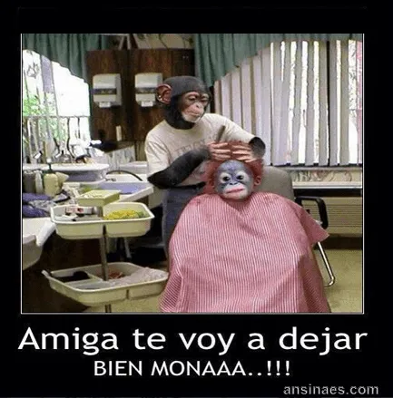 Memes chistosos de Amigas - Imagenes chistosas