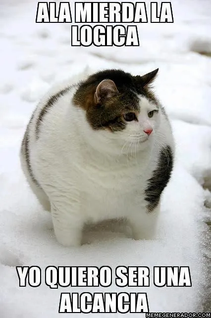 Memes chistosos de animales - Imagenes chistosas Memes chistosos de animales - Imagenes chistosas