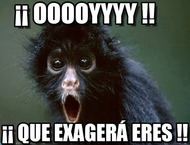 Memes chistosos de Monos - Imagenes chistosas Memes chistosos de Monos - Imagenes chistosas