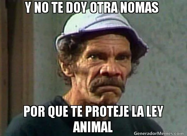 Memes graciosos para comentar en facebook.