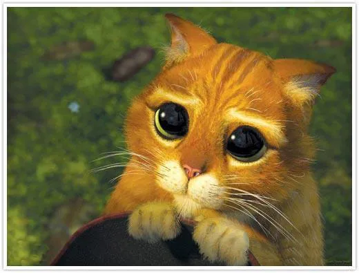 Gato con Botas caras tristes - Imagui
