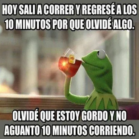 Memes De La Rana Rene - Imagenes Bonitas | Frases Bonitas Memes De La Rana Rene - Imagenes Bonitas | Frases Bonitas
