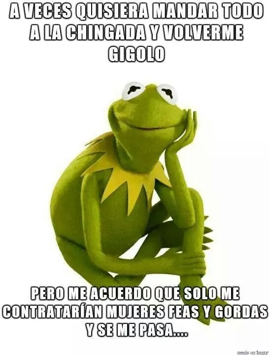 MARIBEL MESINO | Memes de la rana rene | Pinterest