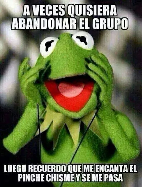 Rana Rene | Rana Rene | Pinterest | Kermit and Faces Rana Rene | Rana Rene | Pinterest | Kermit and Faces