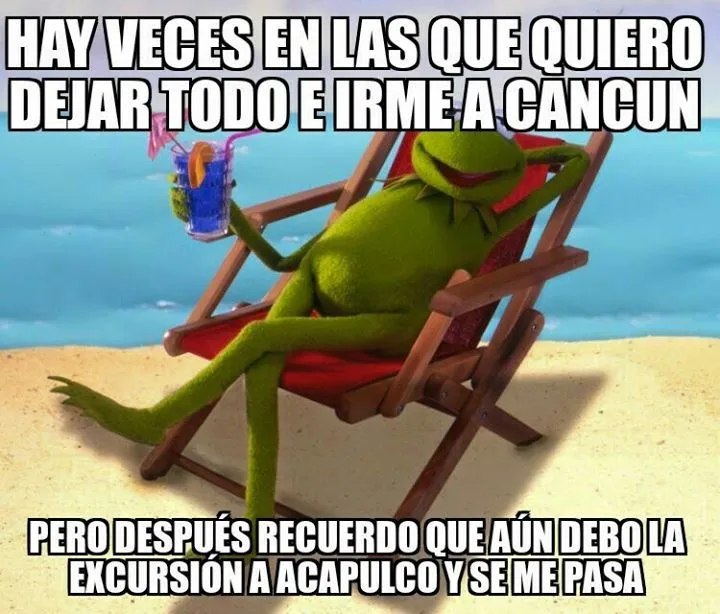 Memes de Ranas - Imagenes chistosas