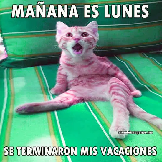 Memes Se Terminaron Las Vacaciones - Mundo Imagenes Frases Actuales Memes Se Terminaron Las Vacaciones - Mundo Imagenes Frases Actuales