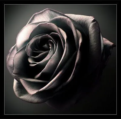 Memories of a love