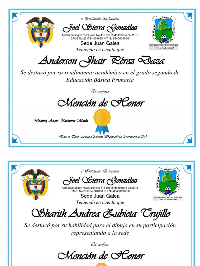 Mencion de Honor | PDF | Aprendizaje | Etapas educativas