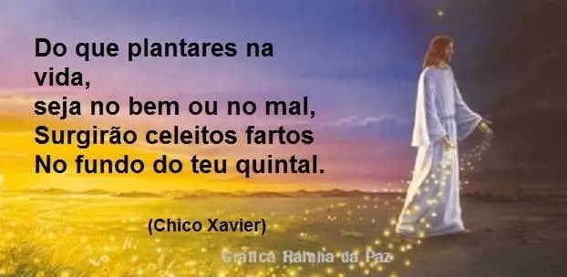 Frases on Pinterest | Google and Search