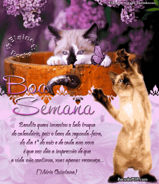 Mensagens de Boa Semana para Facebook