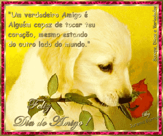 Mensagens de Dia do Amigo para Facebook