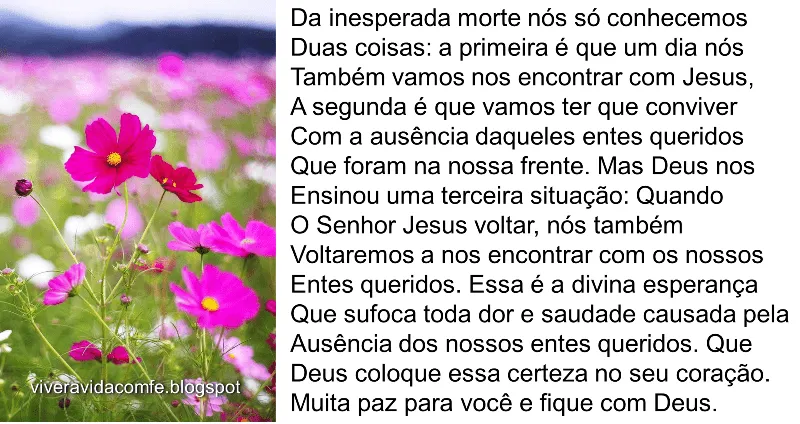 Mensagem para quem perdeu um parente - Google+