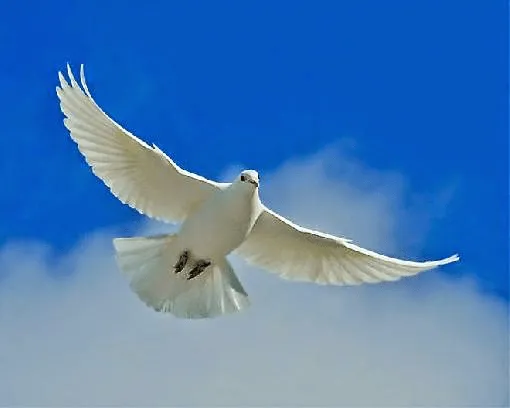 MENSAGENS DE FÉ DA PALAVRA DE DEUS : Mensagem de conforto para ... MENSAGENS DE FÉ DA PALAVRA DE DEUS : Mensagem de conforto para ...