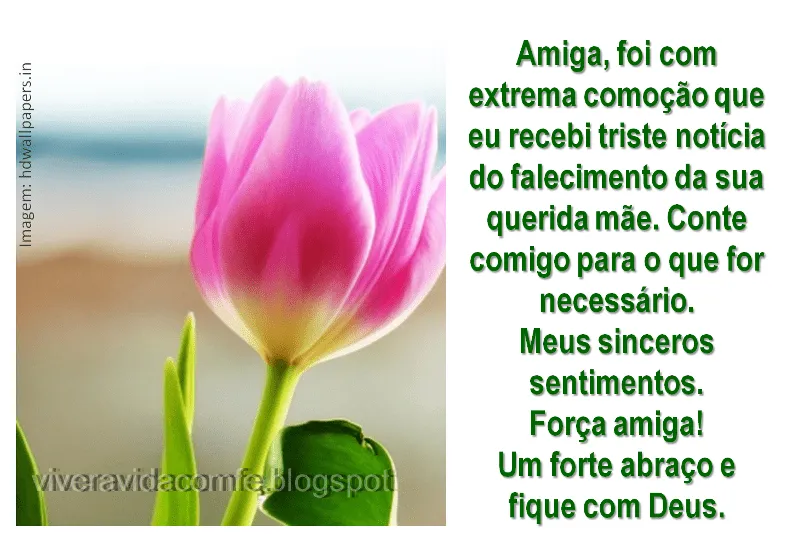 MENSAGENS DE FÉ DA PALAVRA DE DEUS : Mensagem de conforto para uma ...