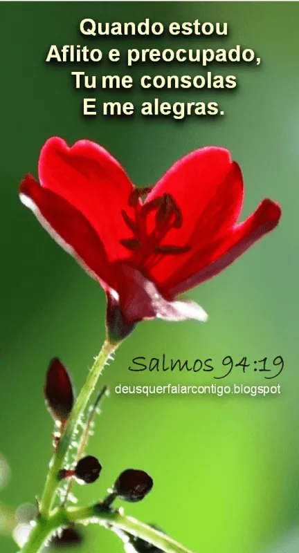 Mensagens de Fé da Palavra de Deus: Outubro 2014