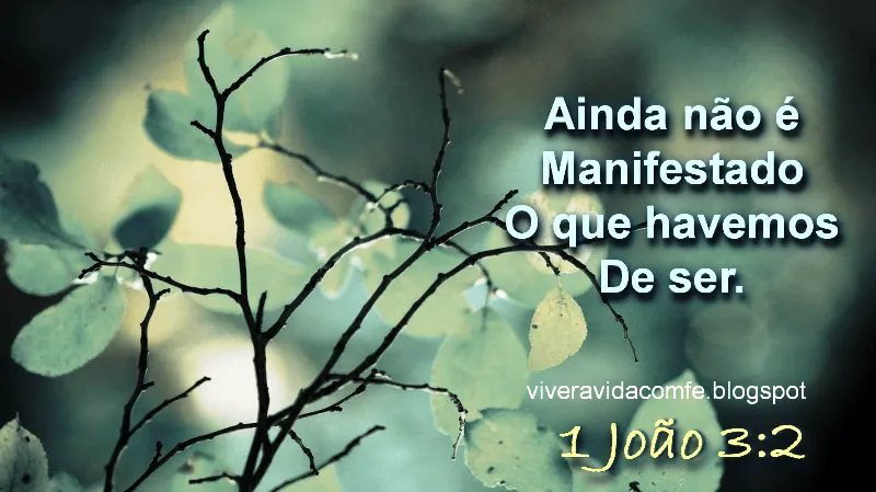 Mensagens de Fé da Palavra de Deus: Mensagem evangélica sobre a morte Mensagens de Fé da Palavra de Deus: Mensagem evangélica sobre a morte