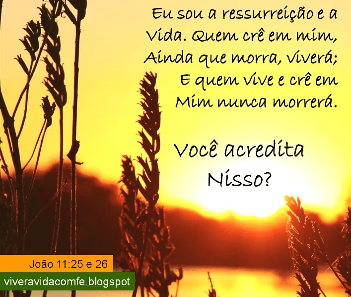 Mensagens de Fé da Palavra de Deus: Mensagem para quem perdeu uma ... Mensagens de Fé da Palavra de Deus: Mensagem para quem perdeu uma ...