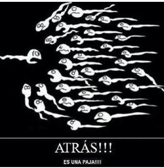 Mensaje chistoso | Citas y mensajes | Pinterest Mensaje chistoso | Citas y mensajes | Pinterest