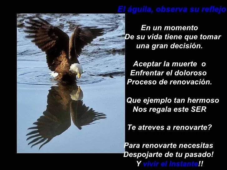 mensaje-de-luz-4-728.jpg?cb= ...