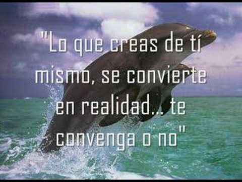 Mensaje de Los Delfines - YouTube