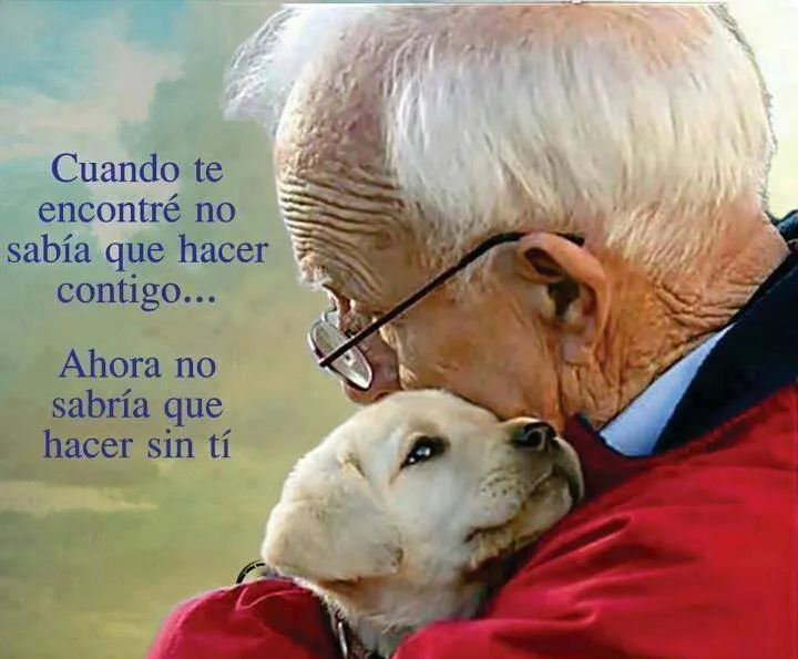 Imagenes de perros con mensaje - Imagui