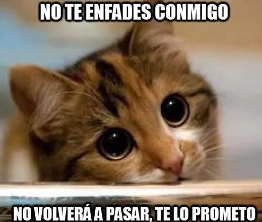 Mensaje para pedir perdón - Mensajes con foto: más vale una imagen ... Mensaje para pedir perdón - Mensajes con foto: más vale una imagen ...