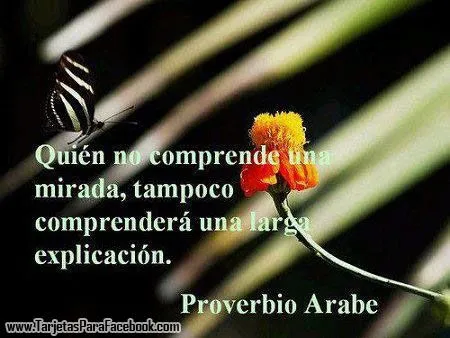 Postales De Reflexion - Part 20