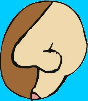 El Mensajero de la salud,Sinusitis,Dr.Germán Díaz, El Mensajero de la salud,Sinusitis,Dr.Germán Díaz,