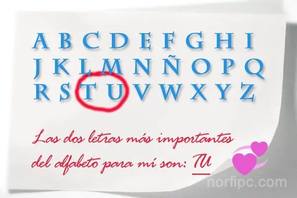 Mensajes de afecto y ternura para agradecer a mi pareja por su amor Mensajes de afecto y ternura para agradecer a mi pareja por su amor