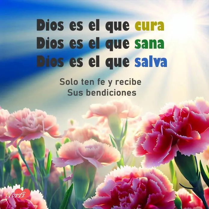 Mensajes de agradecimiento, gratitud y oraciones a Dios