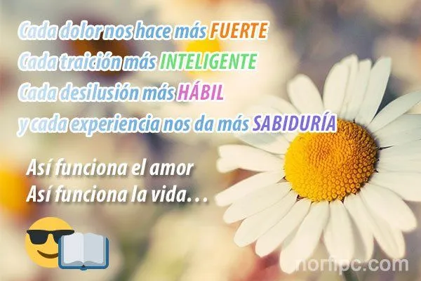 Mensajes para aliviar y consolar problemas y penas de amor