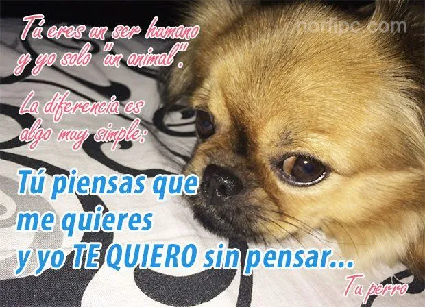 Mensajes para una amiga o un amigo de verdad y sincero Mensajes para una amiga o un amigo de verdad y sincero