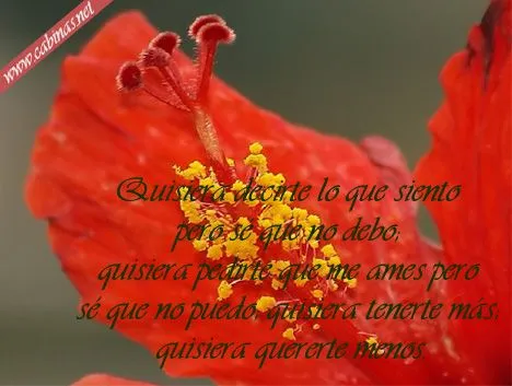 Mensajes lindos - Imagui