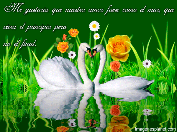 Mensajes de amor con movimiento | imagenes de amor animadas con ... Mensajes de amor con movimiento | imagenes de amor animadas con ...