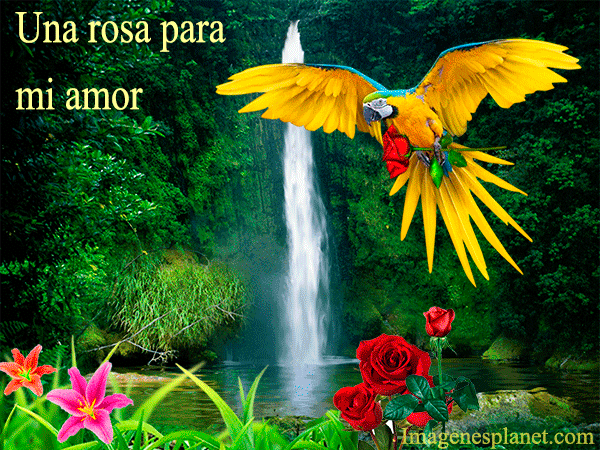 Mensajes de amor con movimiento | imagenes de amor animadas con ... Mensajes de amor con movimiento | imagenes de amor animadas con ...