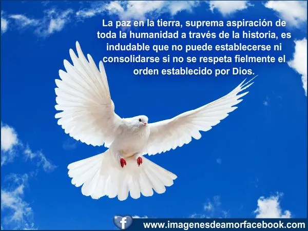 mensajes bonitos: CUANDO TU ALIMENTAS TU CORAZÓN DE PAZ Y AMOR ... mensajes bonitos: CUANDO TU ALIMENTAS TU CORAZÓN DE PAZ Y AMOR ...